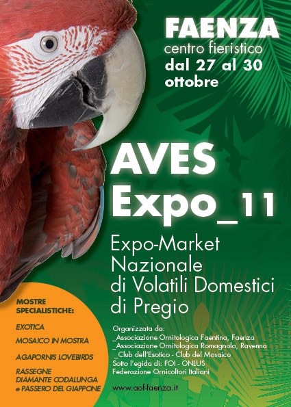 Aves Expo_10